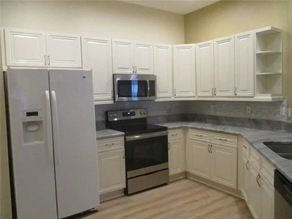 1256 Corinth Greens Drive Sun City Center FL 33573