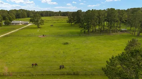 15015 NW 185th Street Williston FL 32696