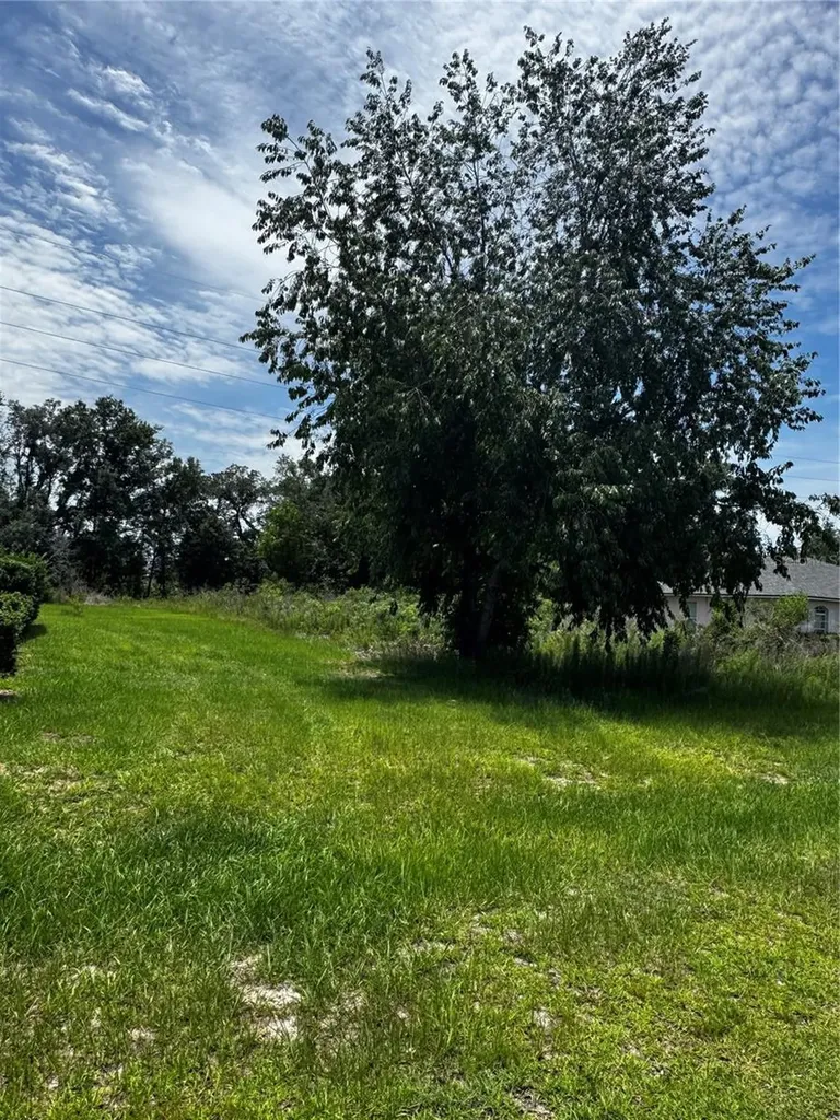 Tbd SW 46th Court Ocala FL 34473