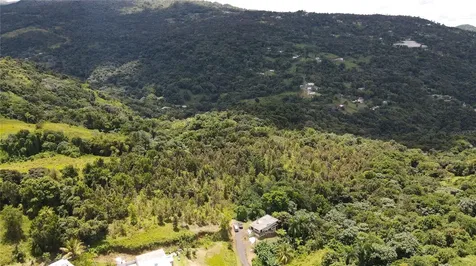 185 Km. 5.8 Bo Campo Rico Sector Peniel Canovanas PR 00729