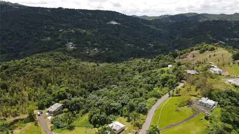 185 Km. 5.8 Bo Campo Rico Sector Peniel Canovanas PR 00729