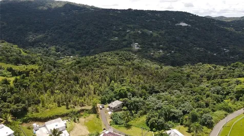 185 Km. 5.8 Bo Campo Rico Sector Peniel Canovanas PR 00729