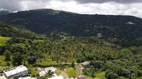 185 Km. 5.8 Bo Campo Rico Sector Peniel Canovanas PR 00729