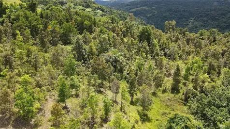 185 Km. 5.8 Bo Campo Rico Sector Peniel Canovanas PR 00729