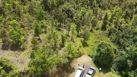 185 Km. 5.8 Bo Campo Rico Sector Peniel Canovanas PR 00729