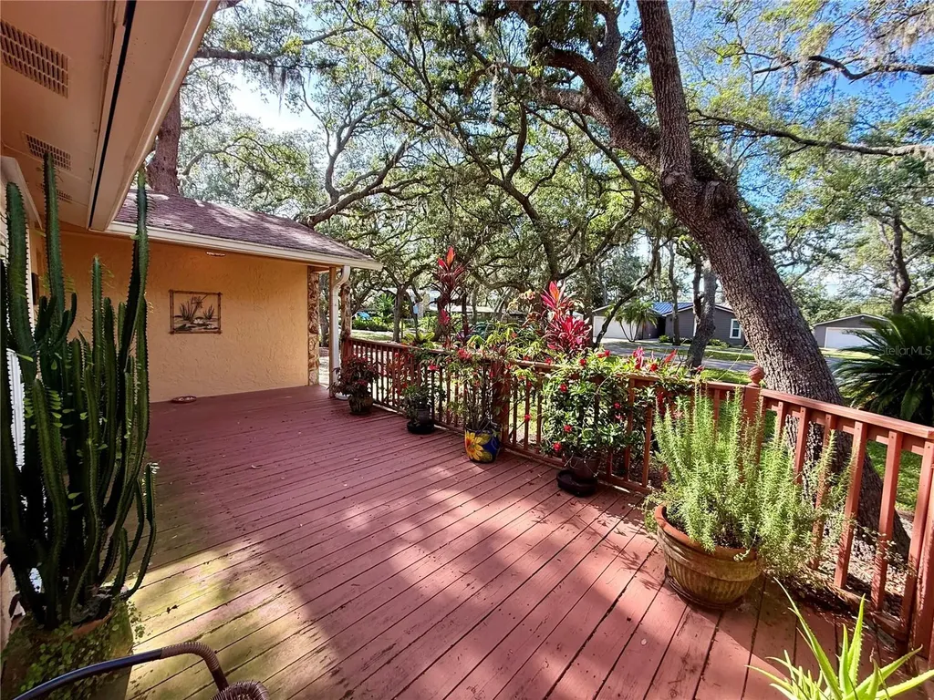 13828 Friendship Lane Odessa FL 33556