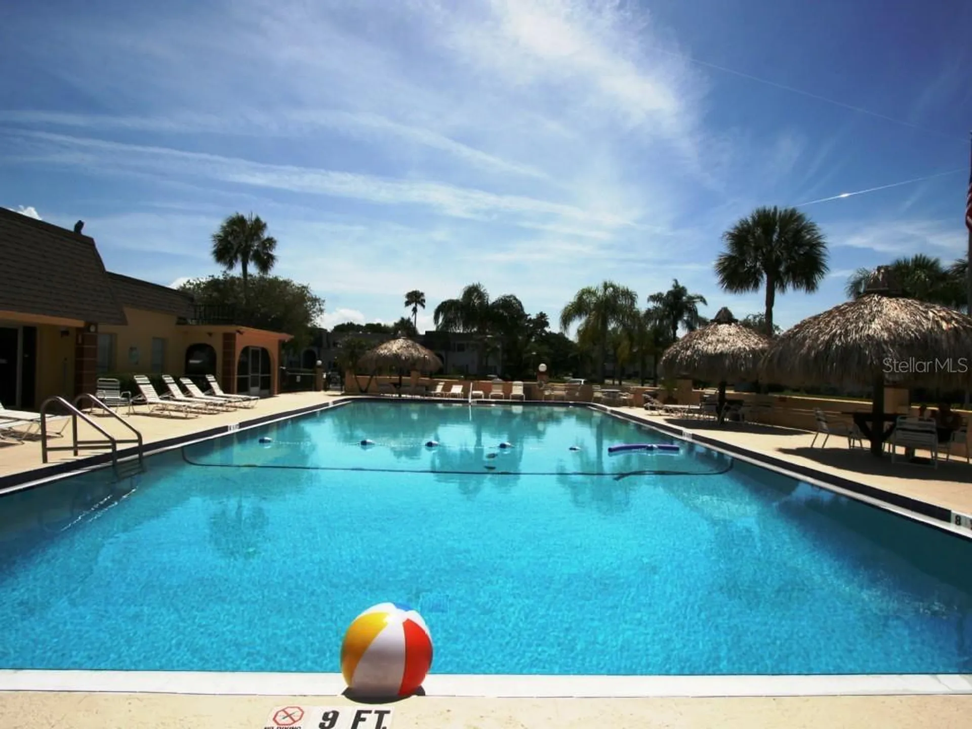 351 S Mcmullen Booth Road Clearwater FL 33759