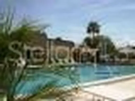 351 S Mcmullen Booth Road Clearwater FL 33759