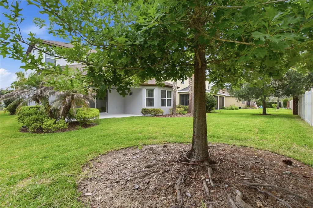 9167 Bella Vita Circle Land O Lakes FL 34637