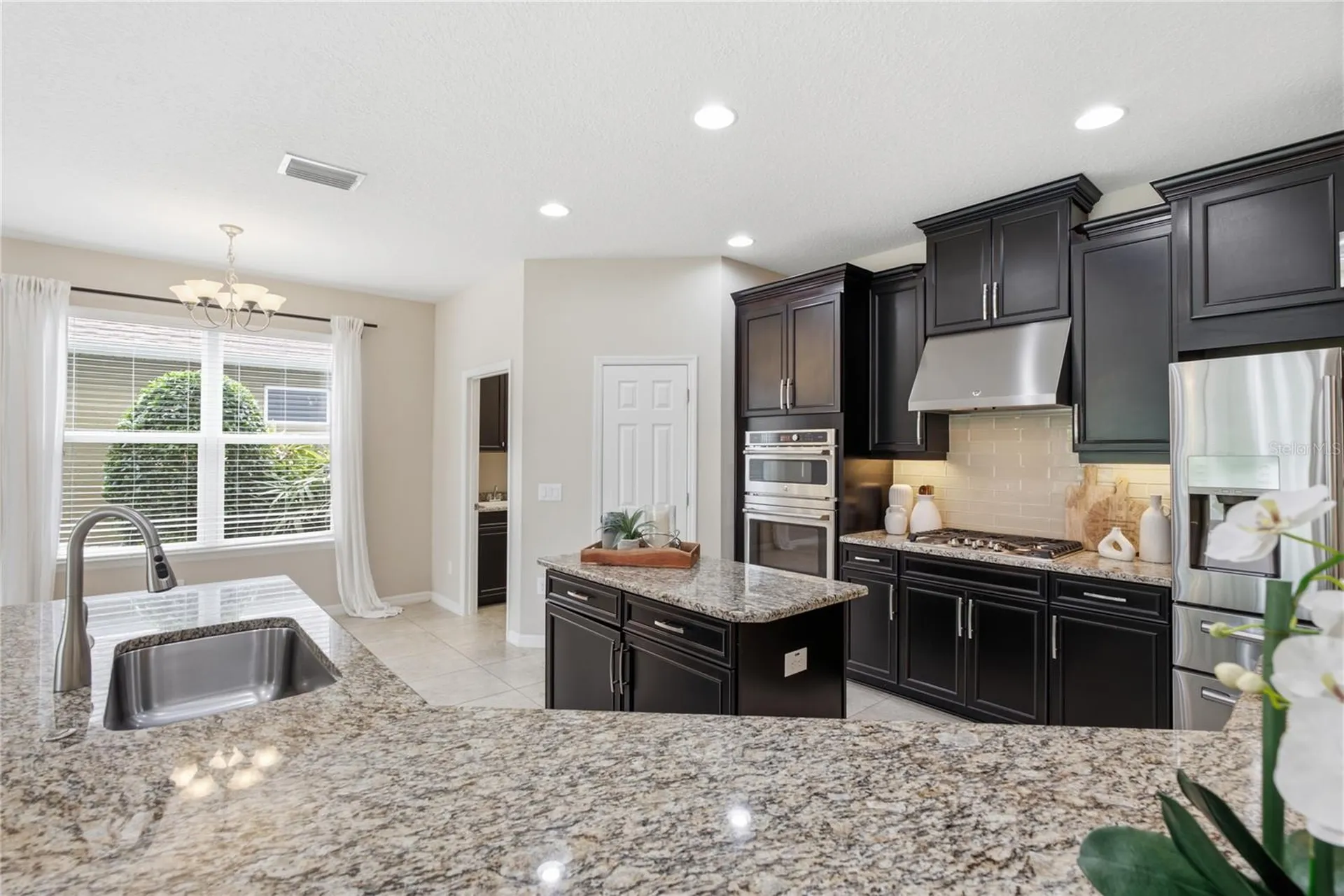 9167 Bella Vita Circle Land O Lakes FL 34637
