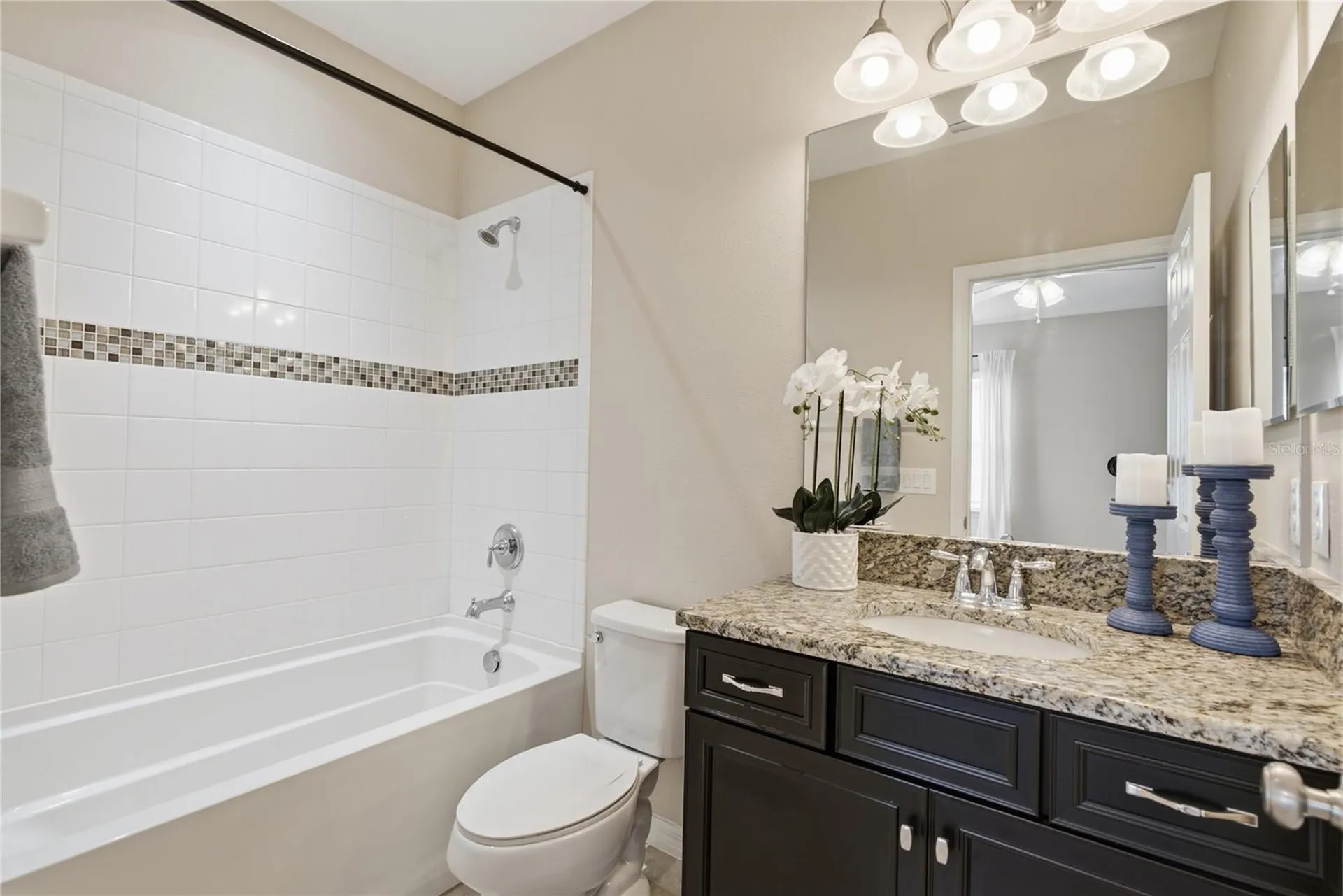 9167 Bella Vita Circle Land O Lakes FL 34637