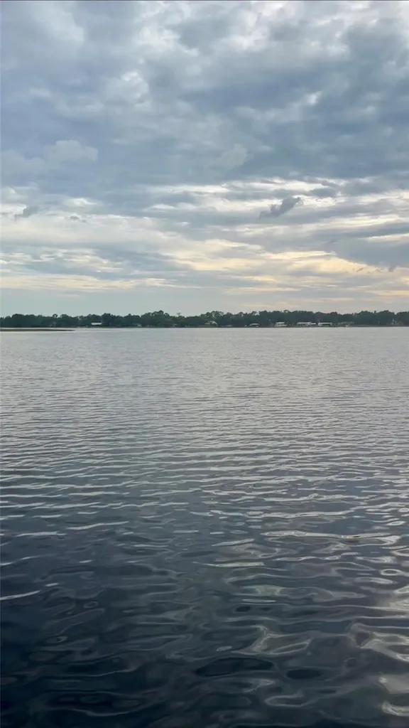 8530 Bayview Crossing Drive Winter Garden FL 34787