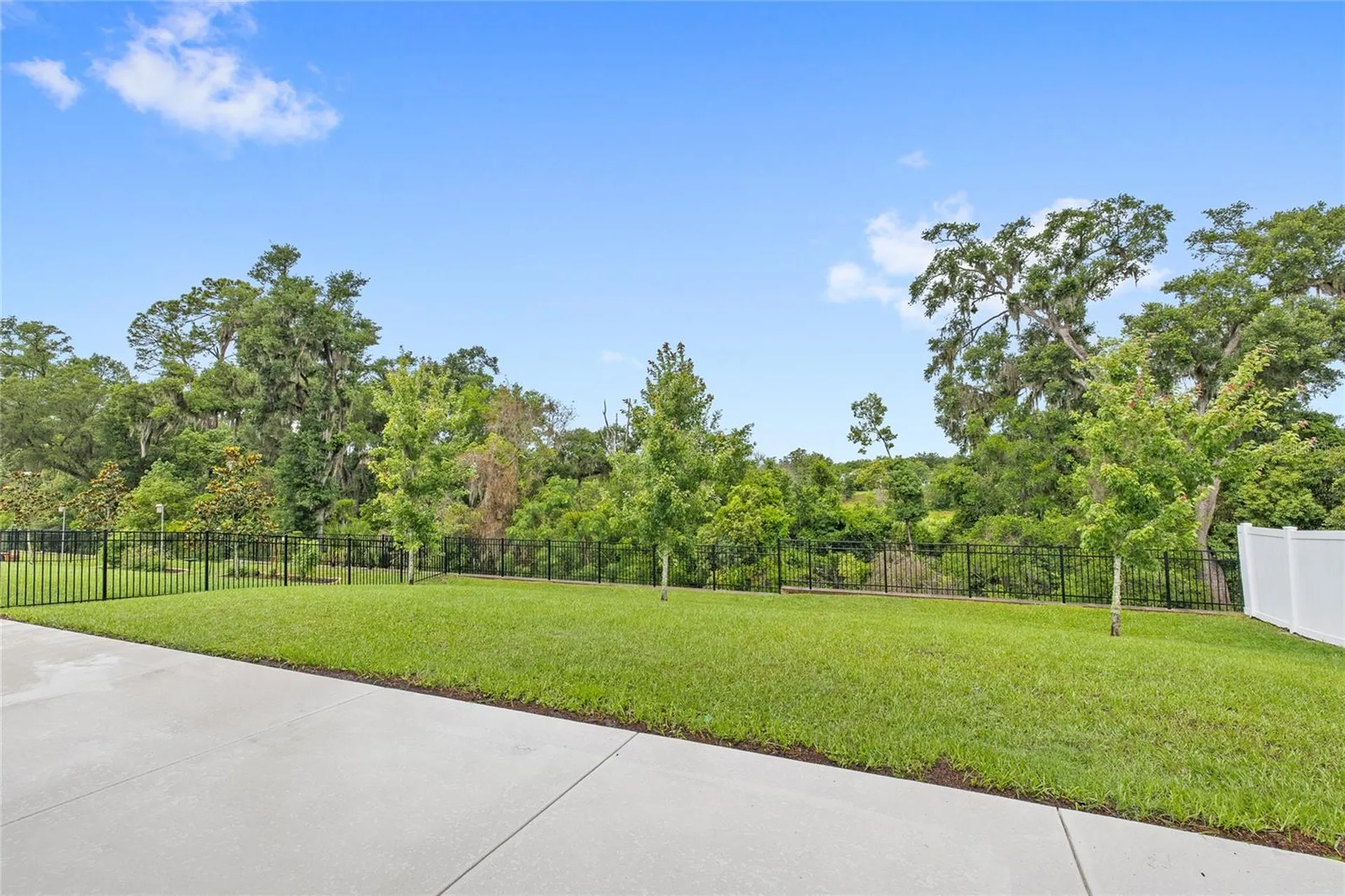 5352 Red Coral Circle Mount Dora FL 32757