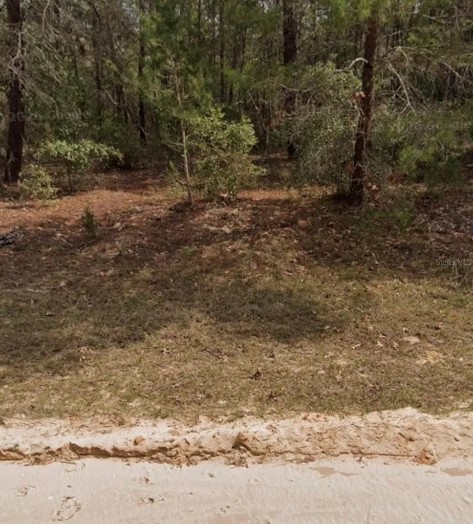 Michael Avenue Interlachen FL 32148