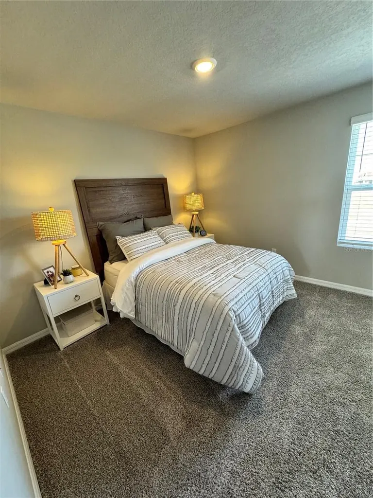 10765 Ironwood Tree Way San Antonio FL 33576