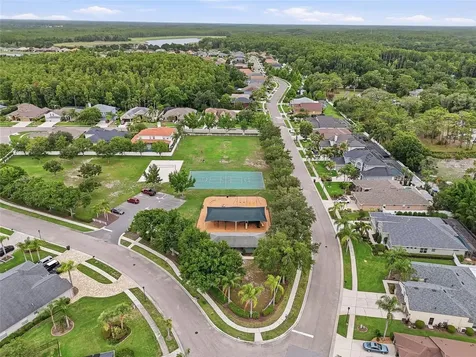 16650 Fairbolt Way Odessa FL 33556