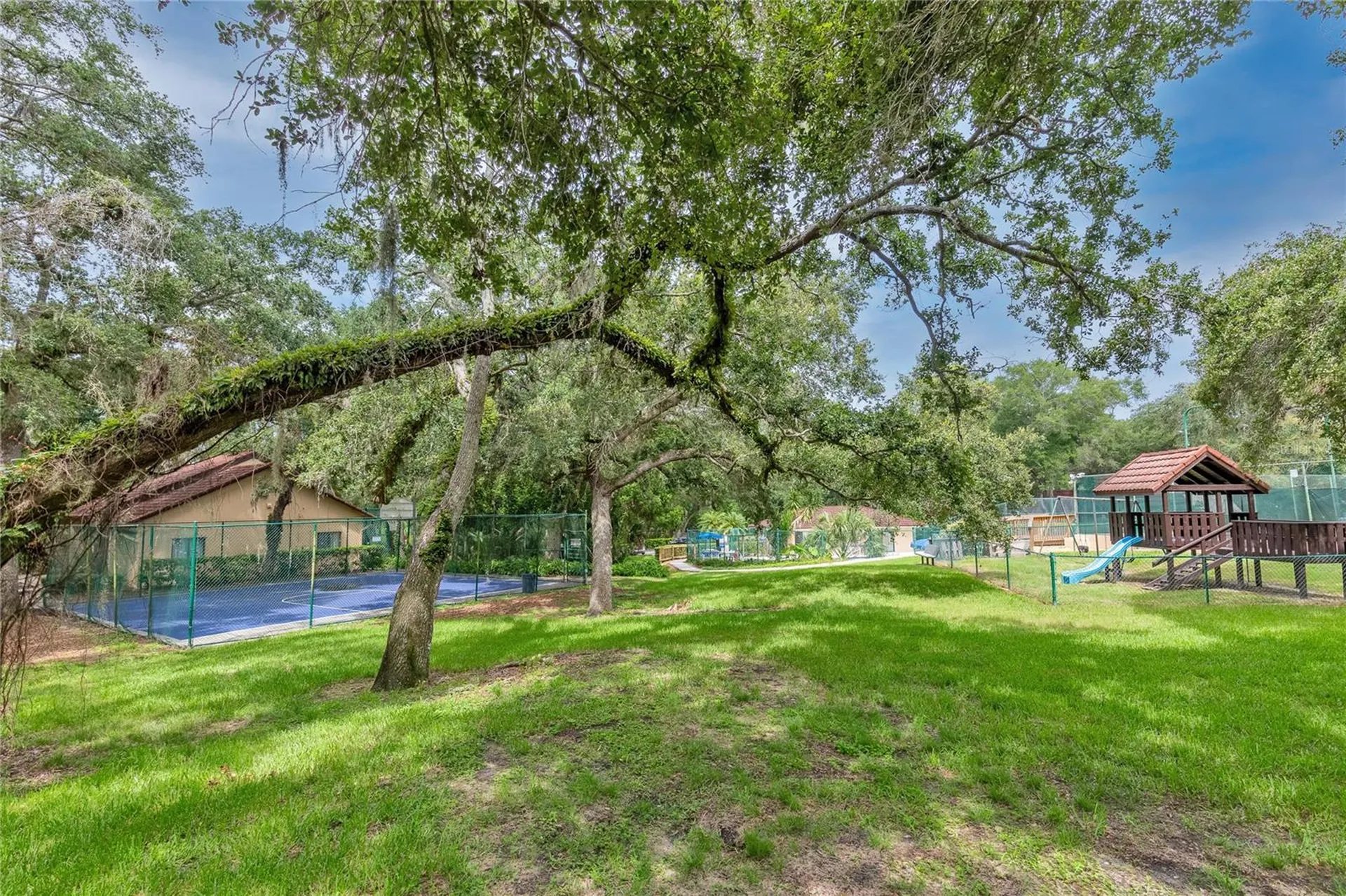 2612 2nd Court Palm Harbor FL 34684