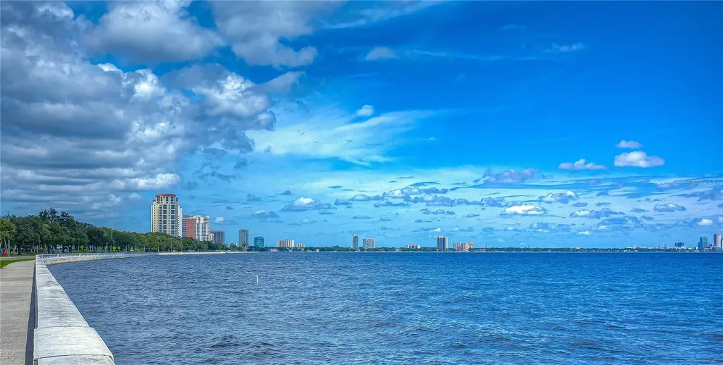 4907 Bayshore Boulevard Tampa FL 33611