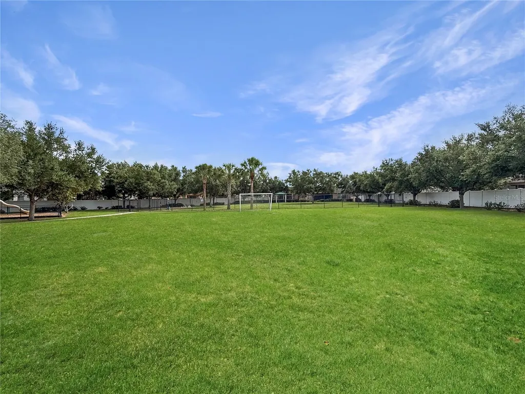 7115 Forest Mere Drive Riverview FL 33578