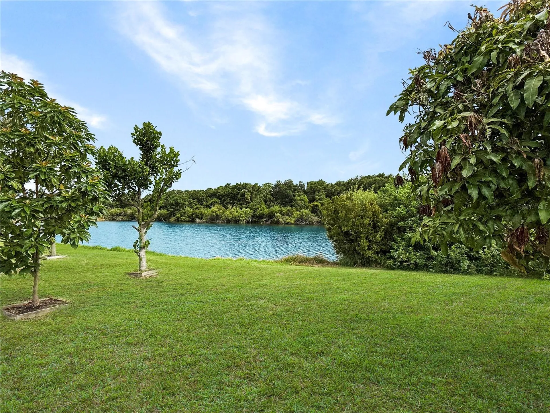7115 Forest Mere Drive Riverview FL 33578