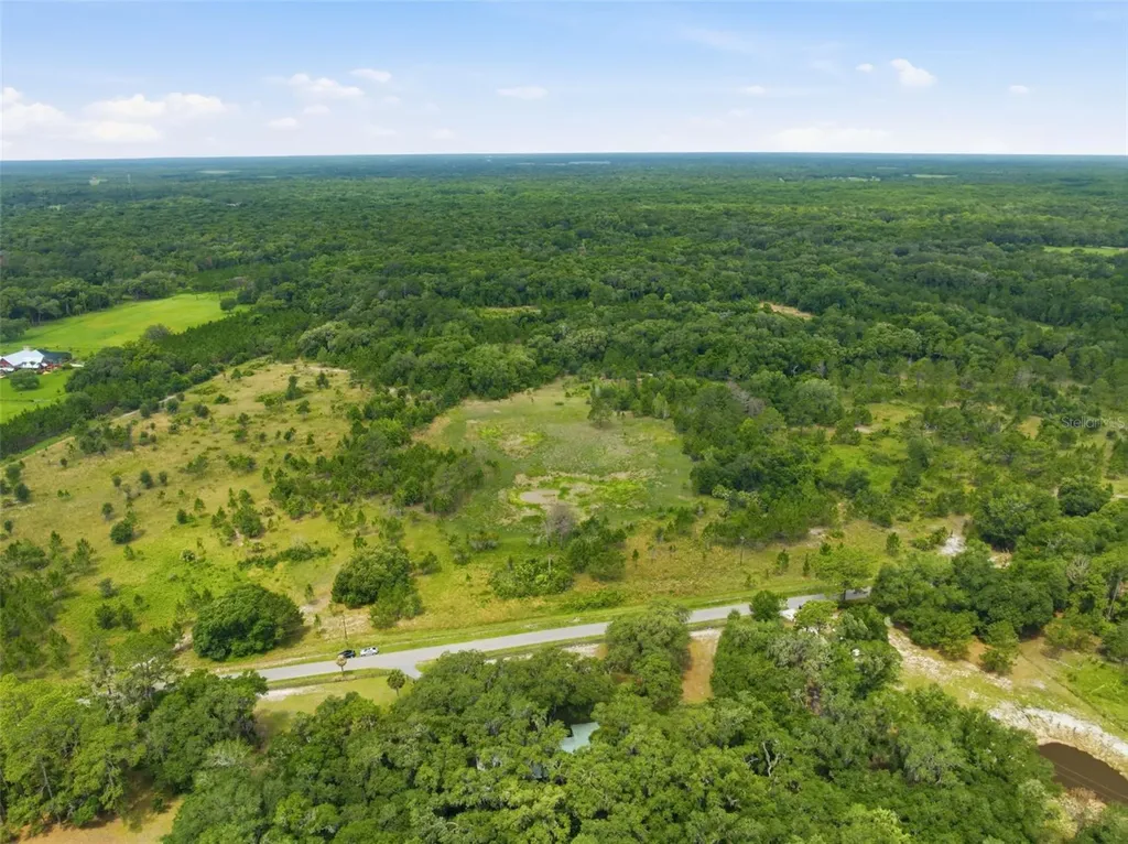 7663 Cr 247 Lake Panasoffkee FL 33538