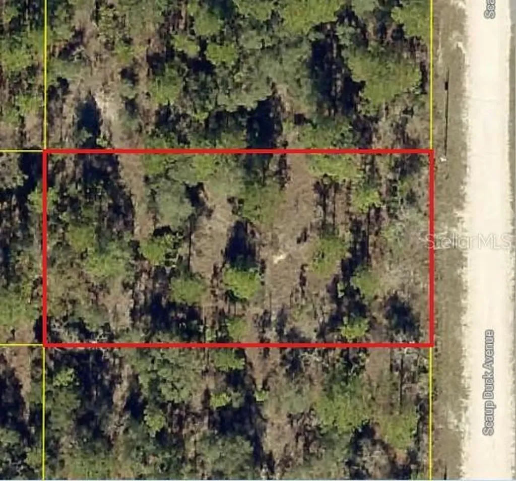 0 Scaup Duck Avenue Weeki Wachee FL 34614