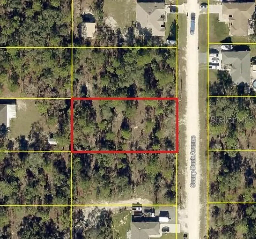 0 Scaup Duck Avenue Weeki Wachee FL 34614