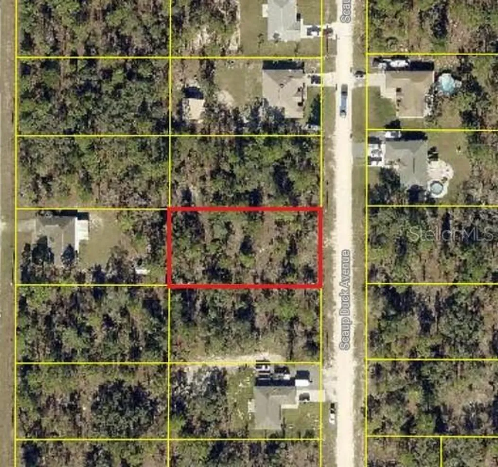 0 Scaup Duck Avenue Weeki Wachee FL 34614
