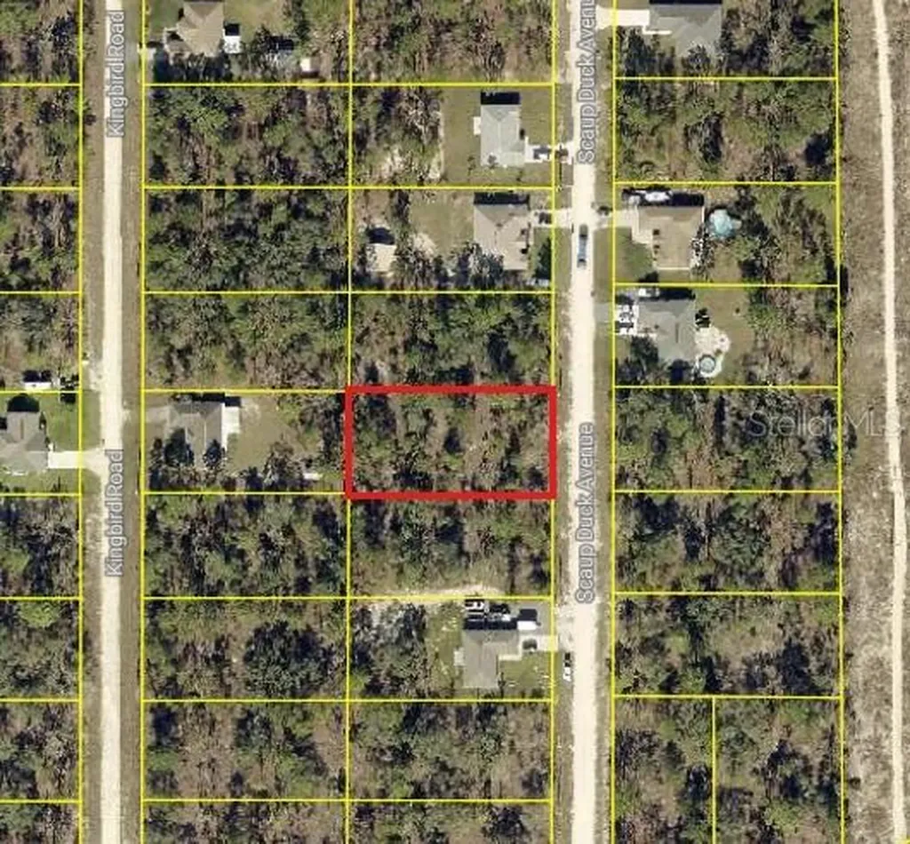 0 Scaup Duck Avenue Weeki Wachee FL 34614