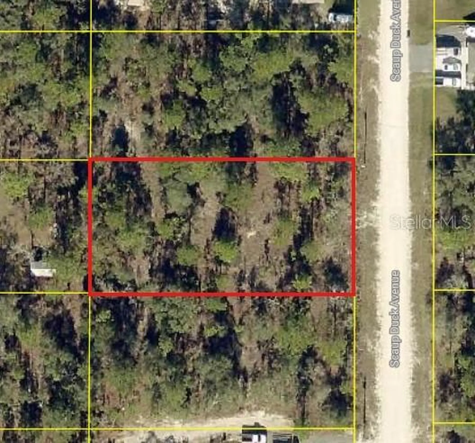 0 Scaup Duck Avenue Weeki Wachee FL 34614