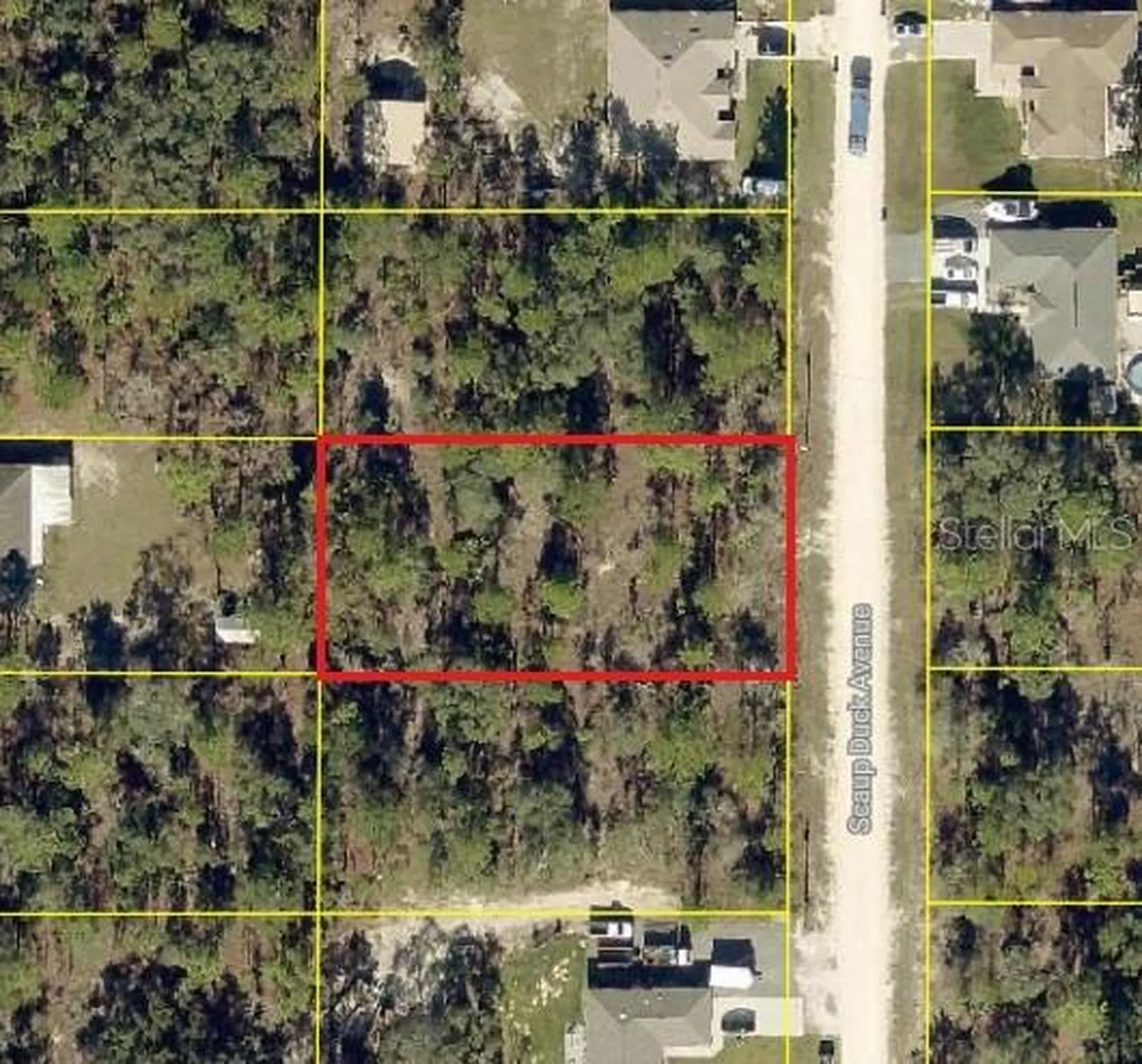 0 Scaup Duck Avenue Weeki Wachee FL 34614