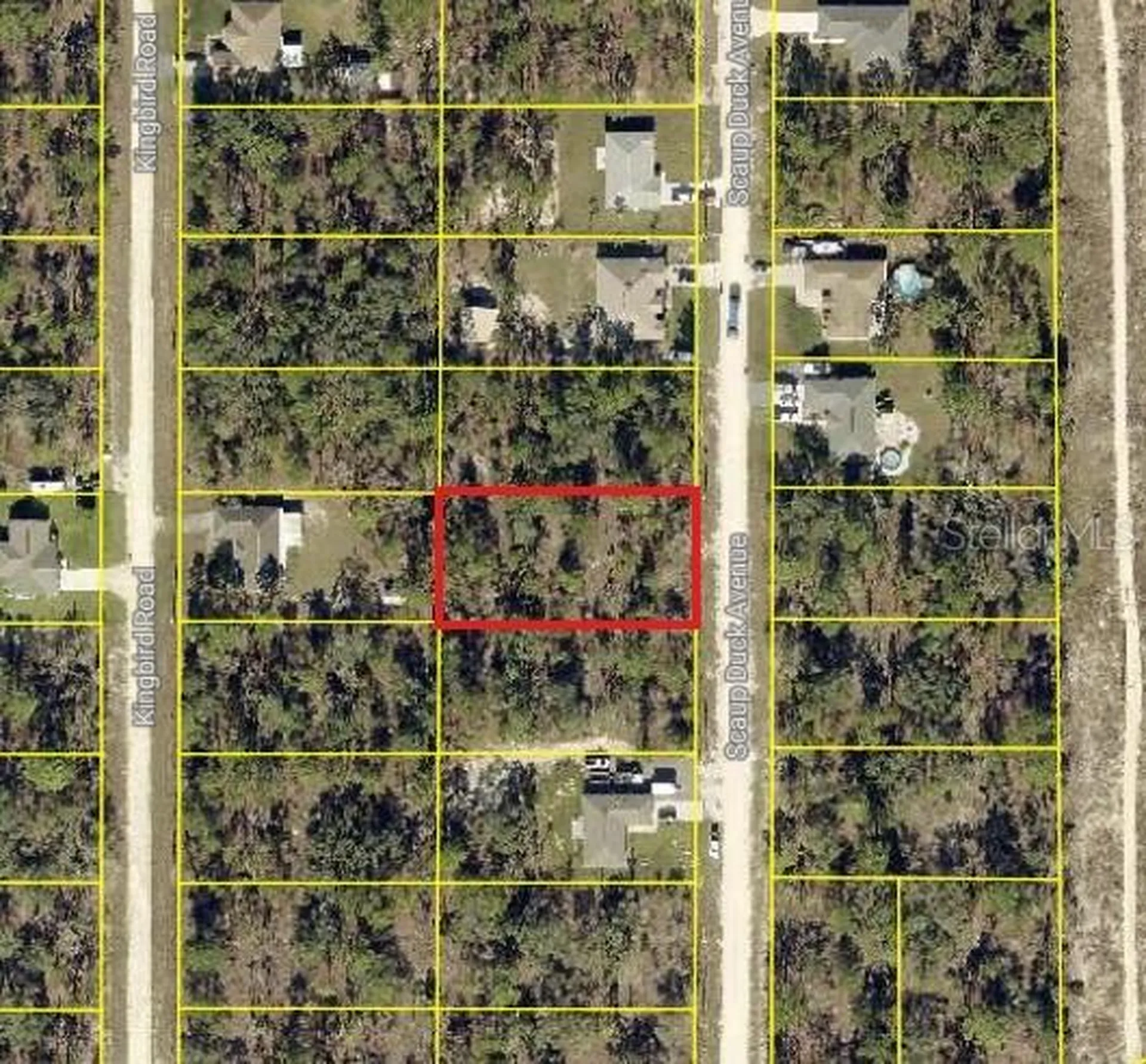 0 Scaup Duck Avenue Weeki Wachee FL 34614