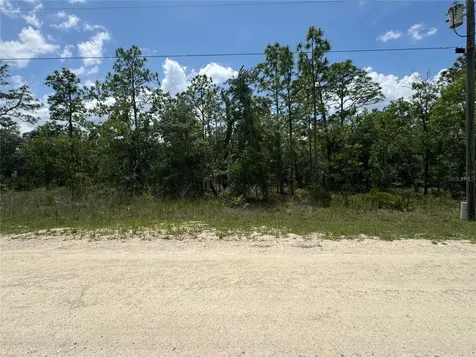 0 Scaup Duck Avenue Weeki Wachee FL 34614