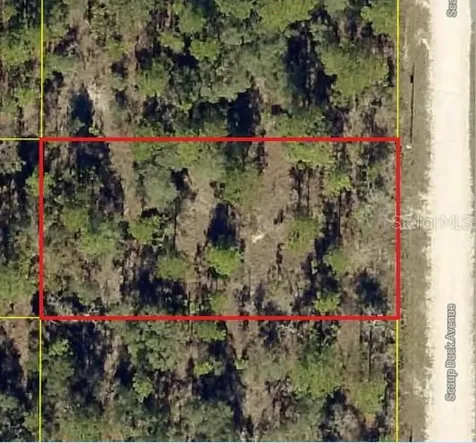 0 Scaup Duck Avenue Weeki Wachee FL 34614