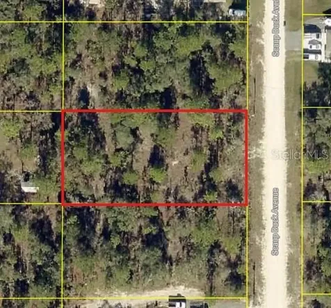 0 Scaup Duck Avenue Weeki Wachee FL 34614