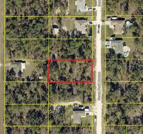 0 Scaup Duck Avenue Weeki Wachee FL 34614