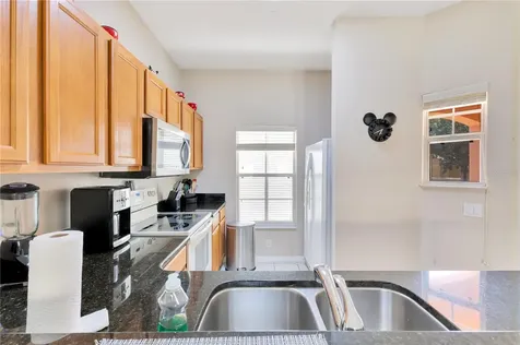 8553 Bay Lilly Loop Kissimmee FL 34747