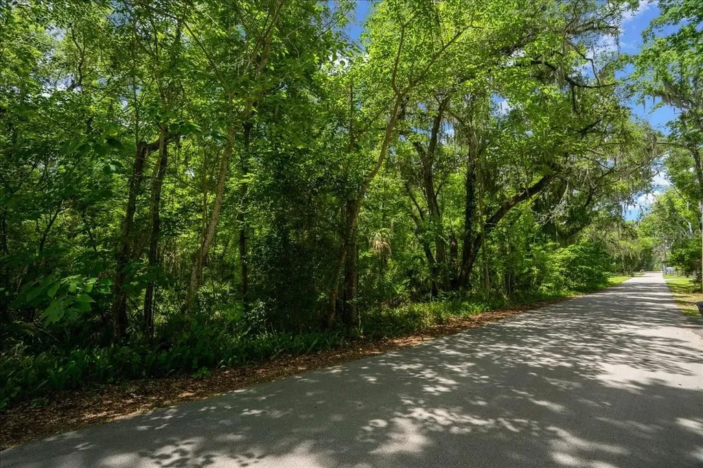 3334 Ocala FL 34480