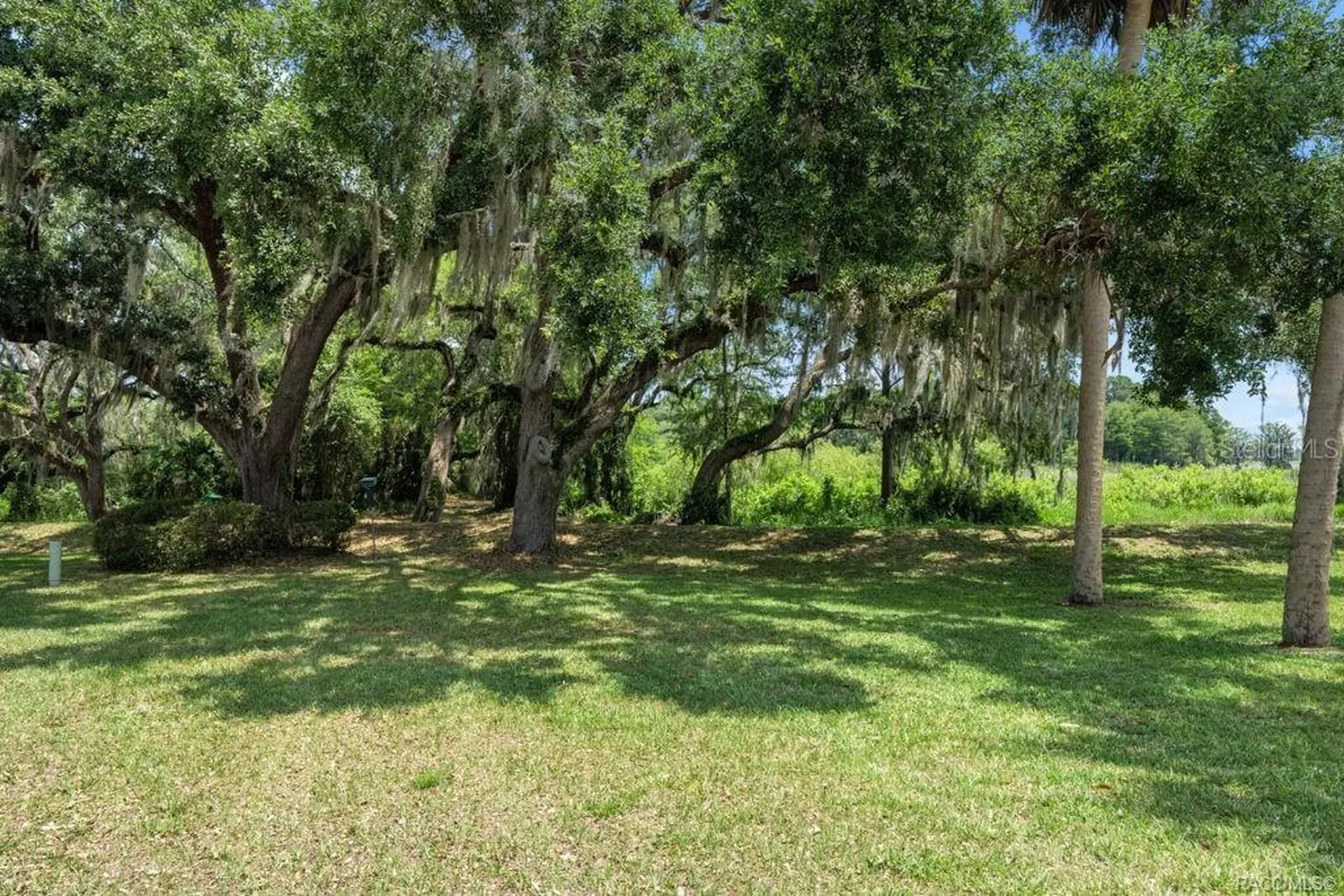 1304 Siesta Terrace Inverness FL 34450