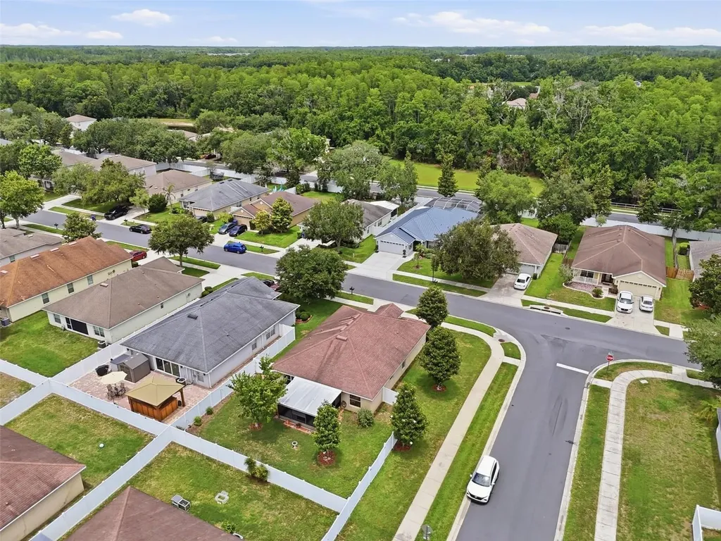 18436 Dajana Avenue Land O Lakes FL 34638