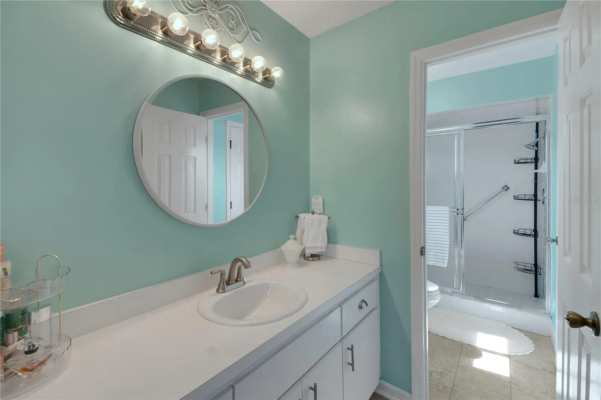 10608 SE 174th Loop Summerfield FL 34491