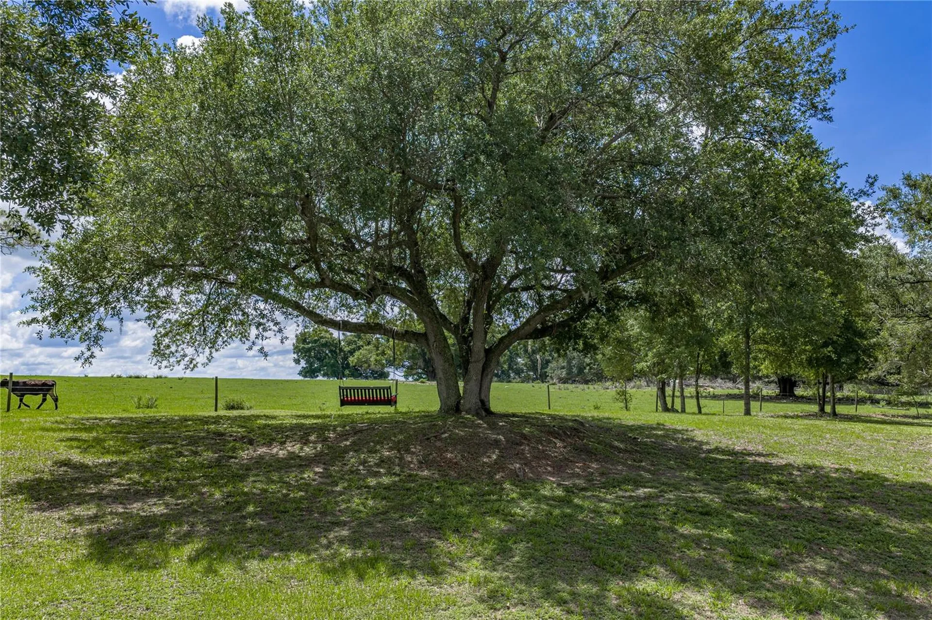 37624 Sky Ridge Circle Dade City FL 33525