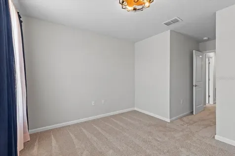 4212 Cloud Hopper Way Lutz FL 33559