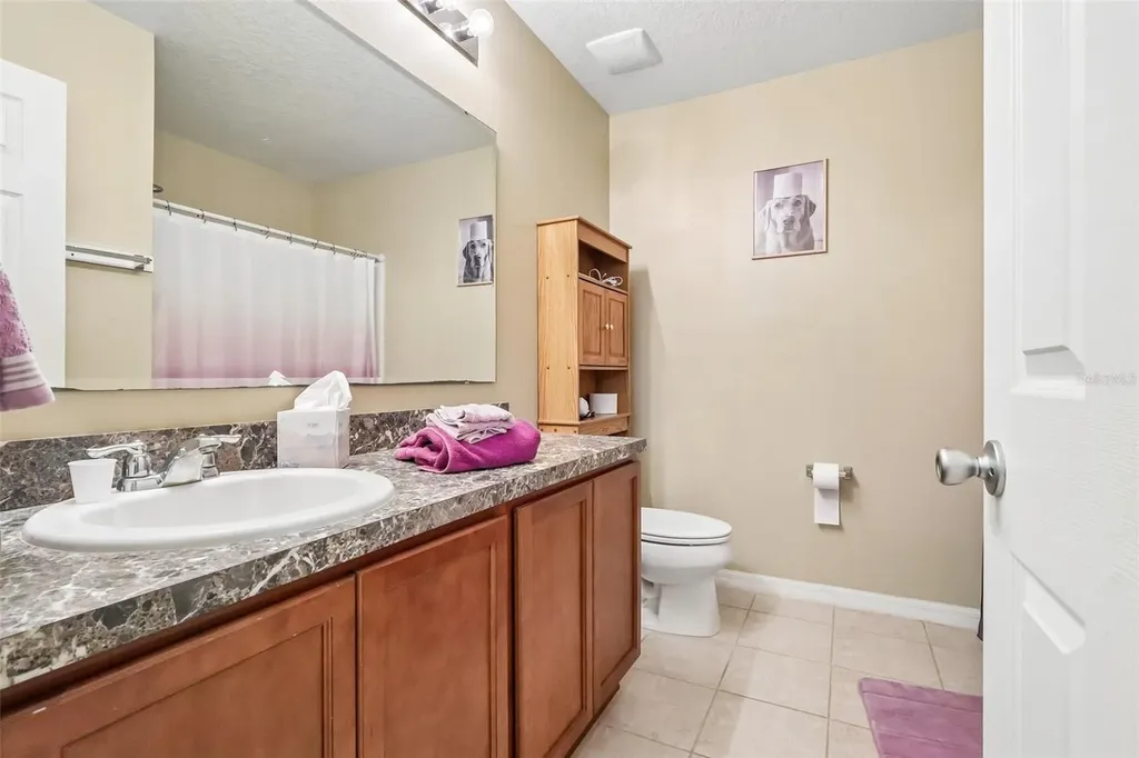 1585 Auburn Hills Court Tavares FL 32778