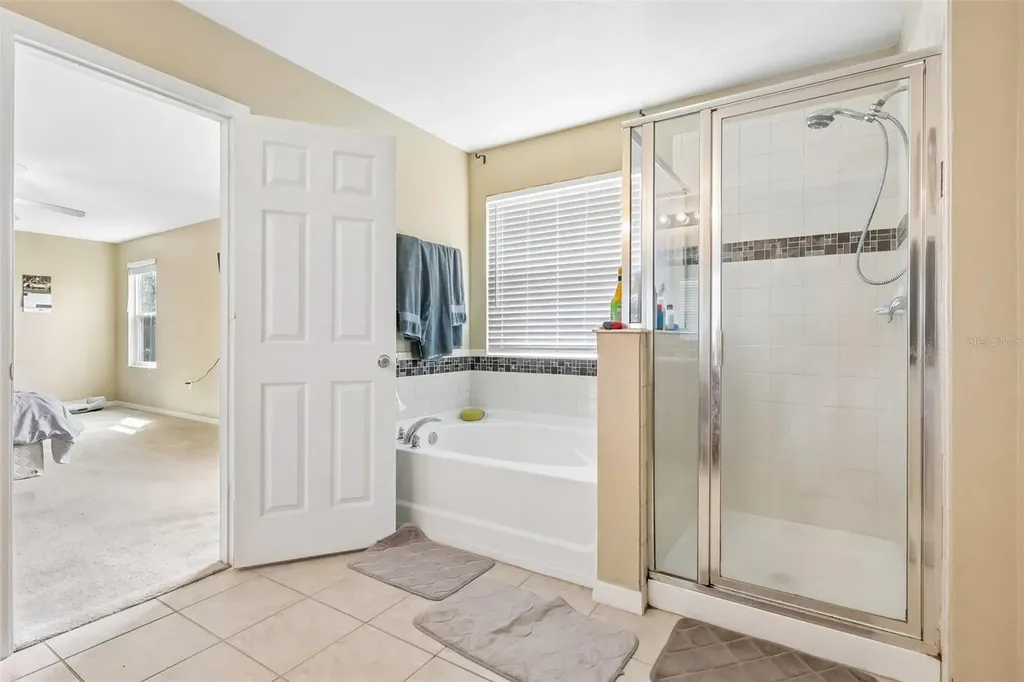 1585 Auburn Hills Court Tavares FL 32778
