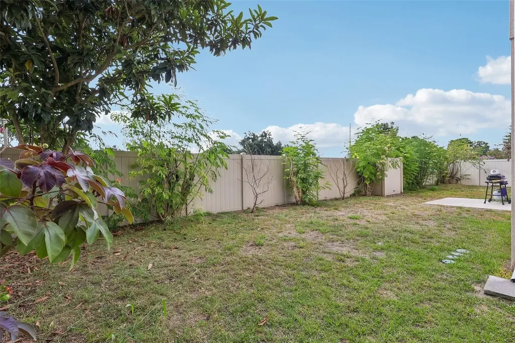1585 Auburn Hills Court Tavares FL 32778