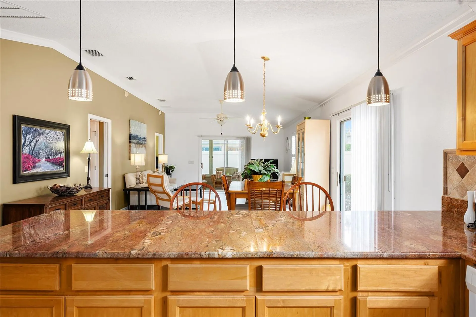 507 Paxville Place The Villages FL 32162