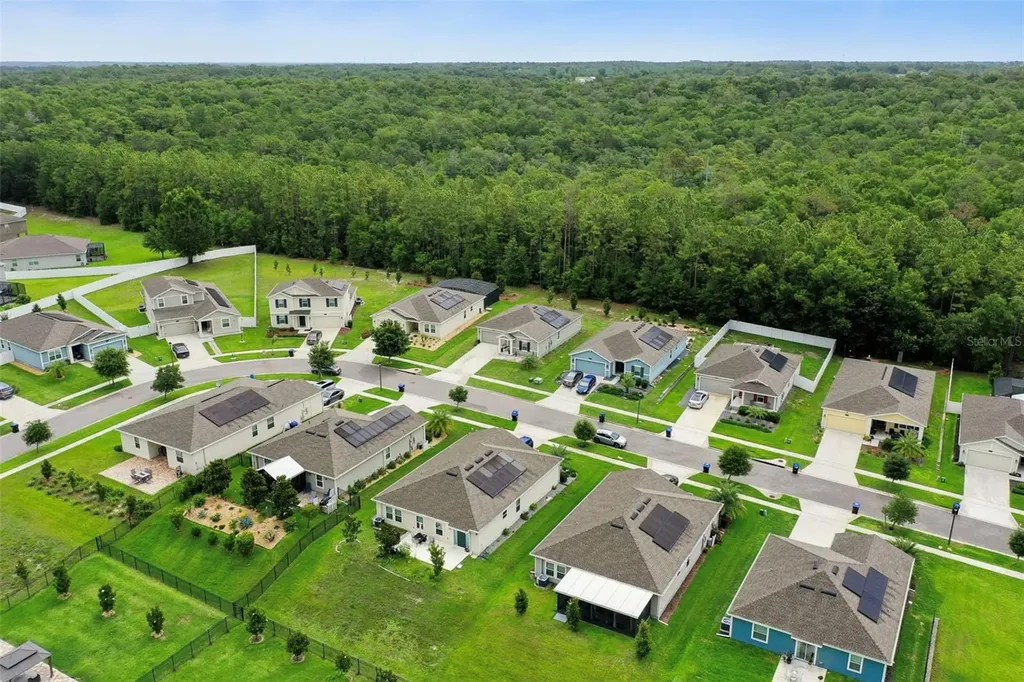 4810 Magnetite Loop Mount Dora FL 32757