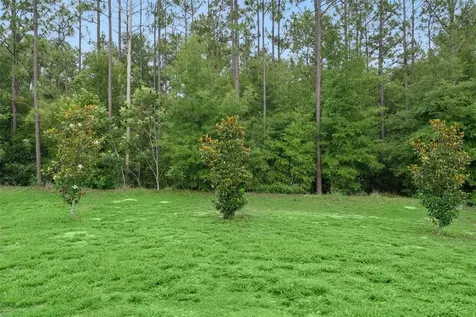 4810 Magnetite Loop Mount Dora FL 32757