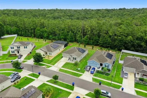 4810 Magnetite Loop Mount Dora FL 32757
